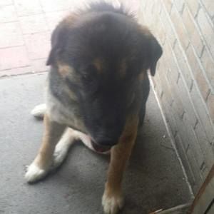 Meet your Posher, Matthew